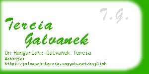 tercia galvanek business card